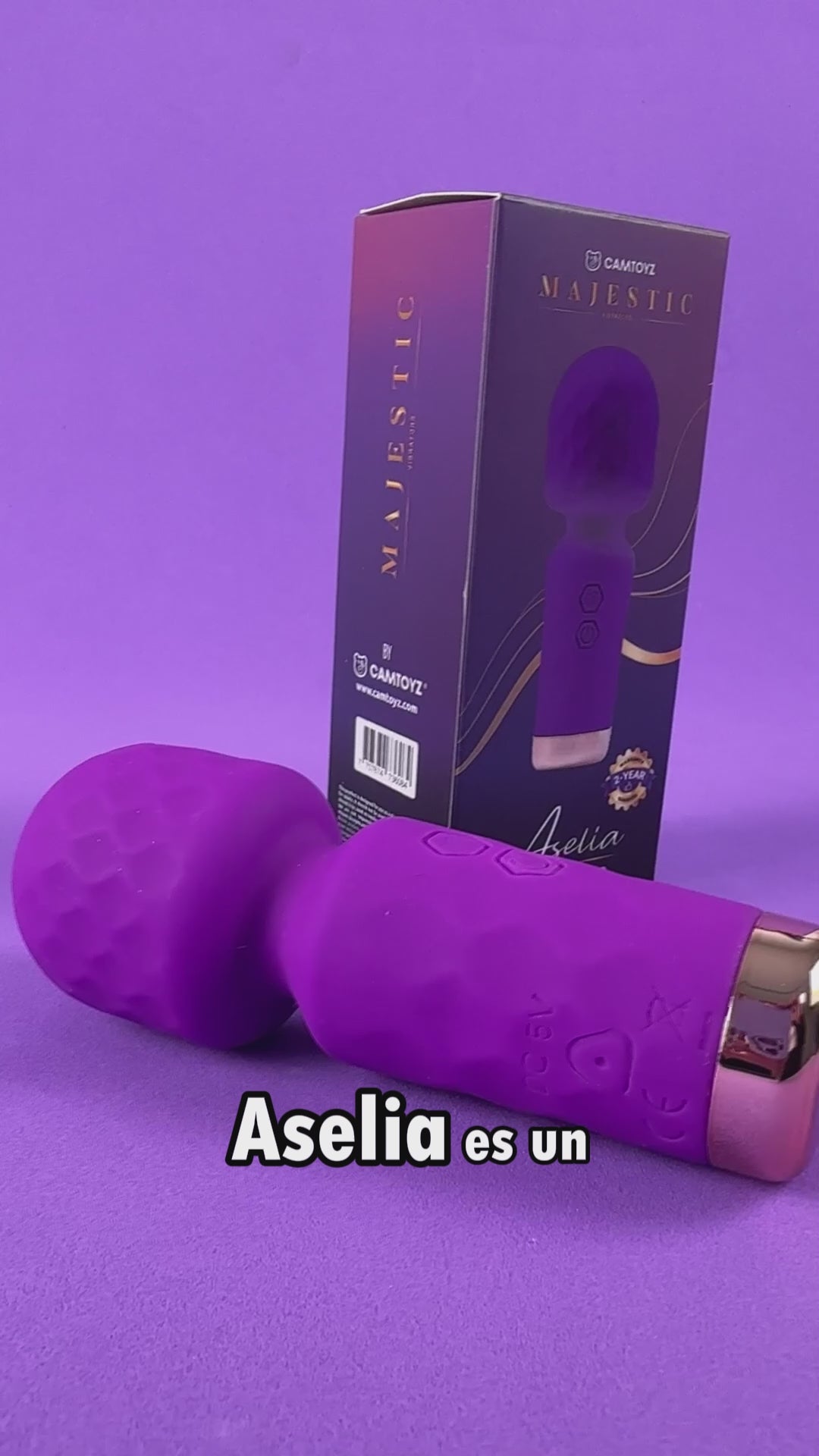 MAJESTIC VIBRADOR HITACHI ASELIA